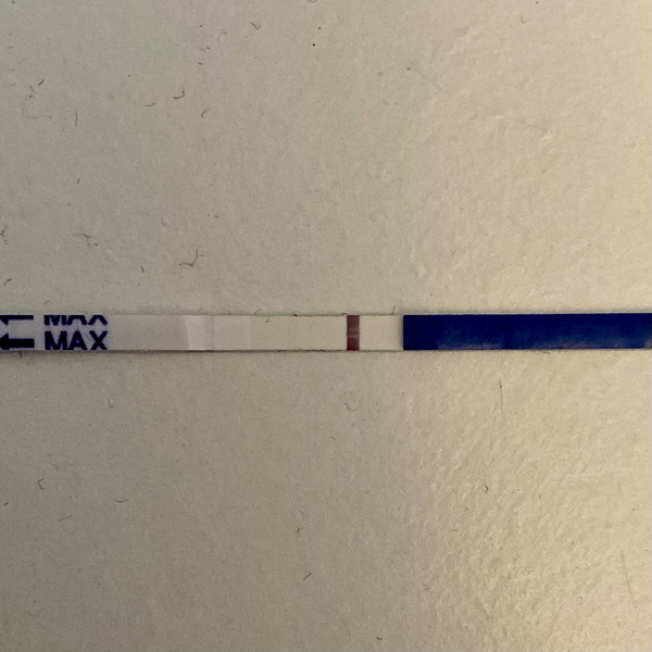 10dpo pregnancy tests?