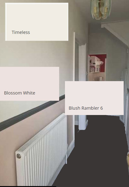 Help! What exactly isn't working with this decor? (Pics attached)