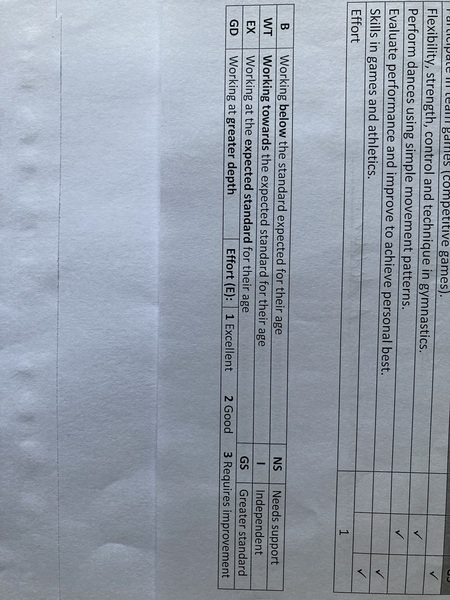 Levels on Y1 reports - any teachers about?