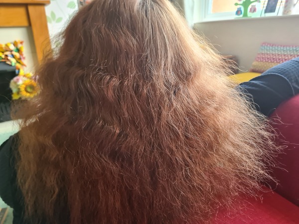 Thick course frizzy hair. Help needed!
