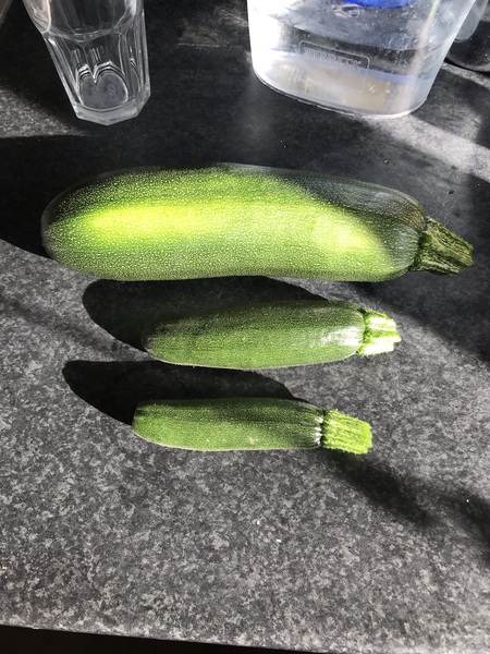 Allotment/Veg Patch Thread 16  Weather weirdness prevails !
