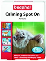 To insist the cat goes back to the RSPCA?