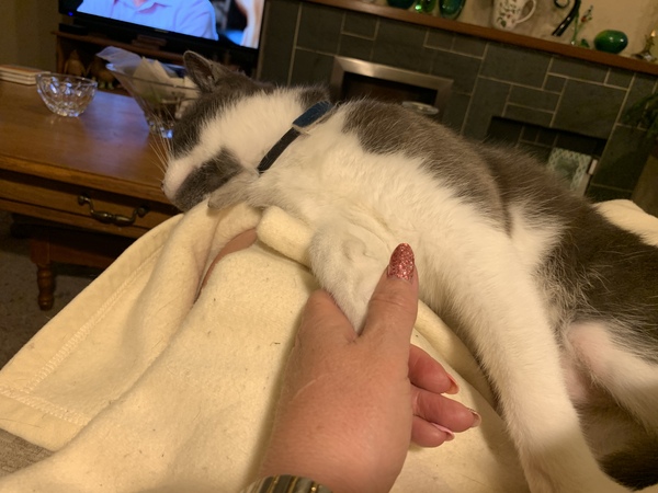 What's your DCat up to today? (Thread 8)