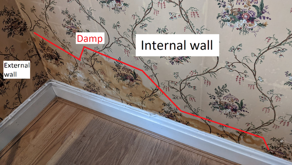 What kind of damp is this? How can I keep it under control for 1-2 years?