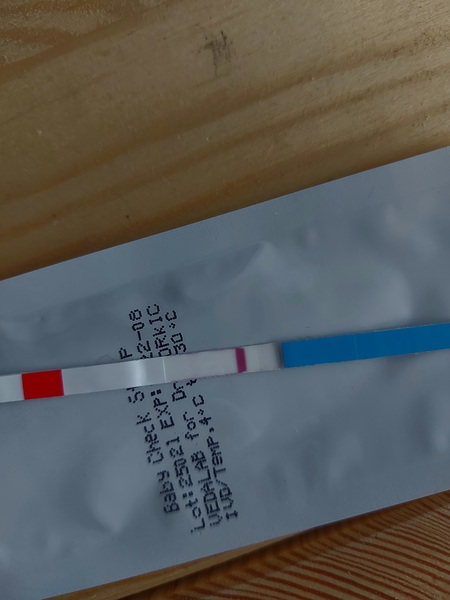 Toot toot, it's the July 2021 TTC Bus arriving early