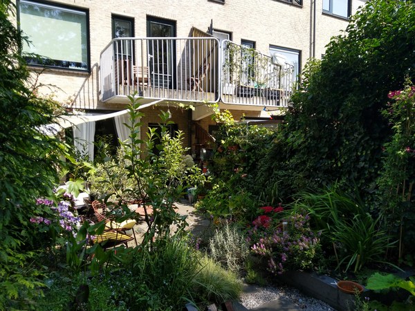 Huge pots for trees - where to get?