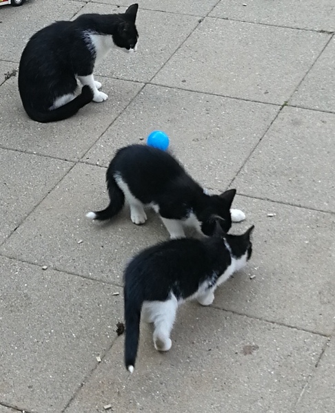I've got visitors and I could do with advice