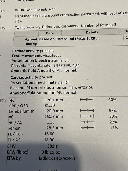 20 week scan results