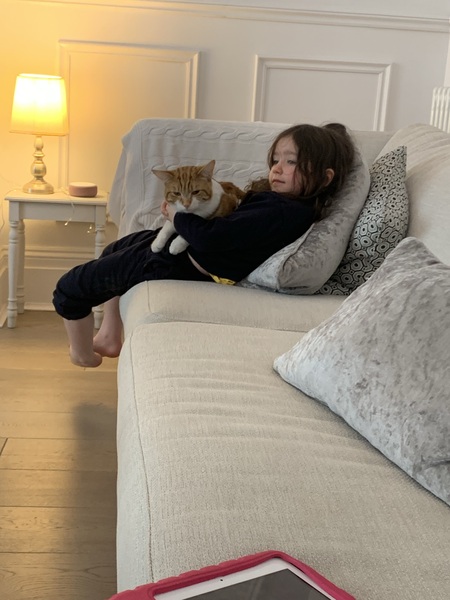 How have you devastated your cat today?