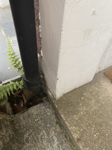Help WTF is this?