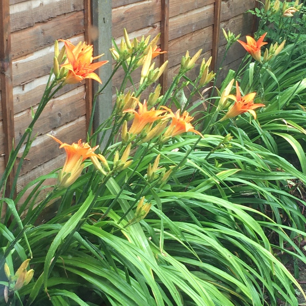 Any idea what this may be?!