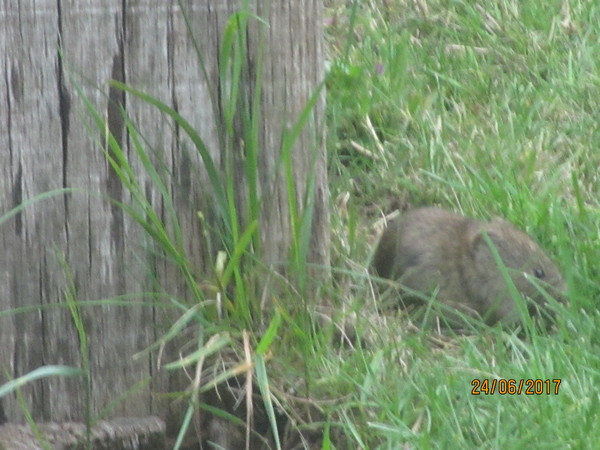 Still Blue, Still Stocking: The Bluestocking remains open in 2021