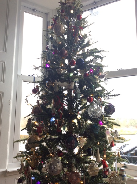 Christmas colours 2021