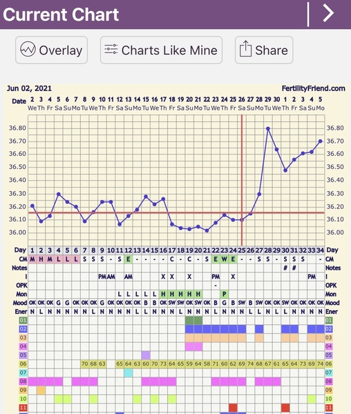 🧙Witch day did I ovulate?!🧙