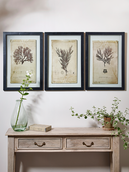 Help! What exactly isn't working with this decor? (Pics attached)