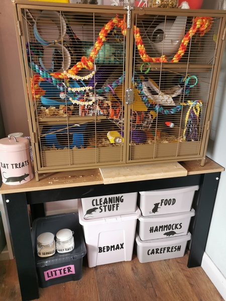DH sent my son to school with cat food in his lunchbox