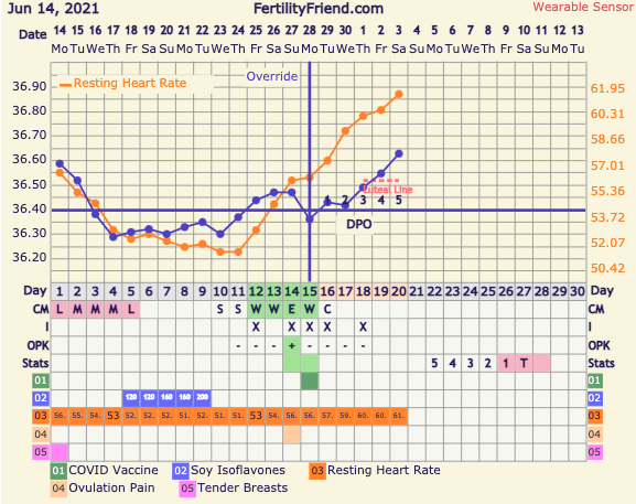 9DPO Symptom Spotting