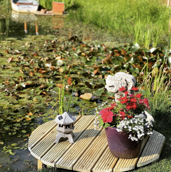 Anyone know anything about pond pumps?