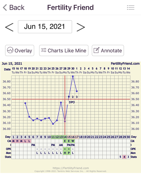 🧙Witch day did I ovulate?!🧙
