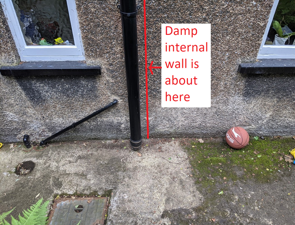 What kind of damp is this? How can I keep it under control for 1-2 years?