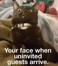 Good News 14: Keeping our spirits up, just a bit longer.