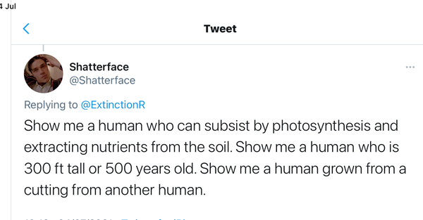Extinction Rebellion on gender