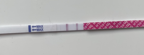 High cervix, stretchy cm, no LH?