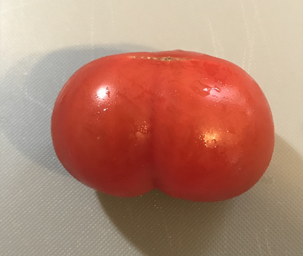 ADs don't want your freedom, ADs don't want to play around