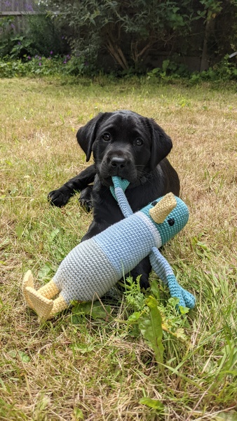 Knit, Crochet and Natter 5 - the roadmap to MORE YARN!