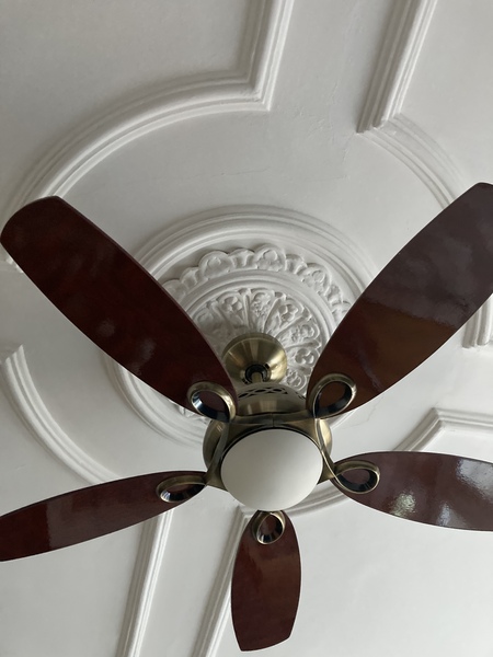 Ceiling rose- large light fitting