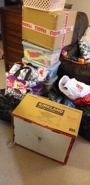 Decluttering one item a day thread number 18 – quickly stashing our clutter in charity shops now we can let people back inside our houses