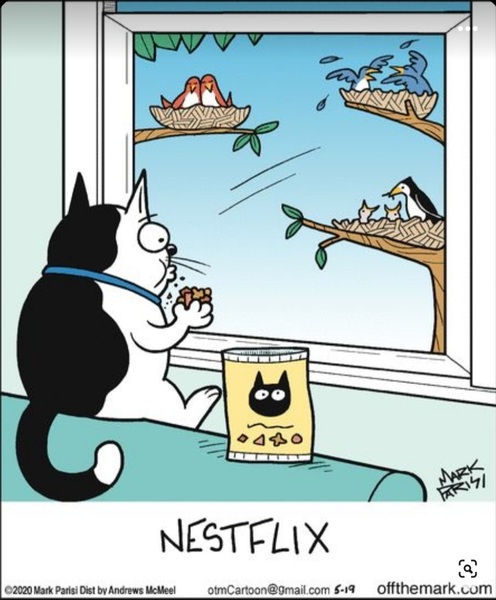Love this...