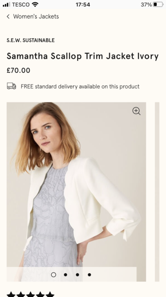 Shawl/pashmina for this dress?