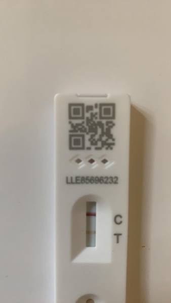 PCR false negative