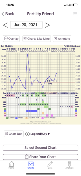 BBT did I ovulate?