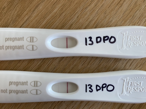 🧙please, fellas impregnate, I’m here to ovulate 🦥