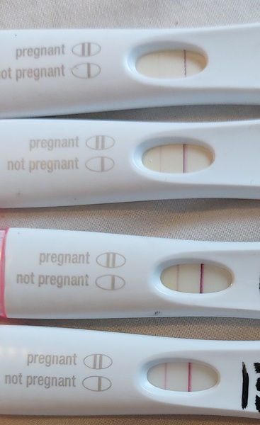 4dpo