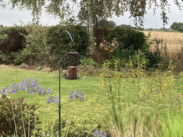 The never-ending search for the perfect bird feeder ...