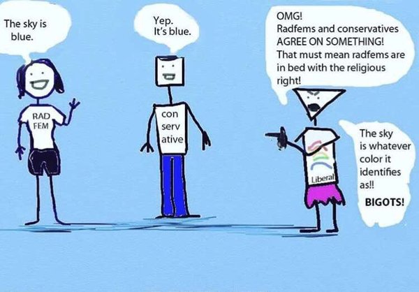 The Guardian have upped their game, we’re now Anti-trans for asking for same-sex spaces