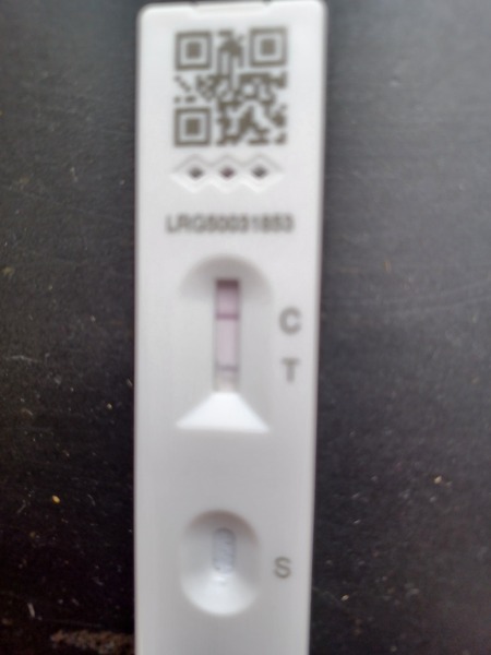Does this test look positive to you?