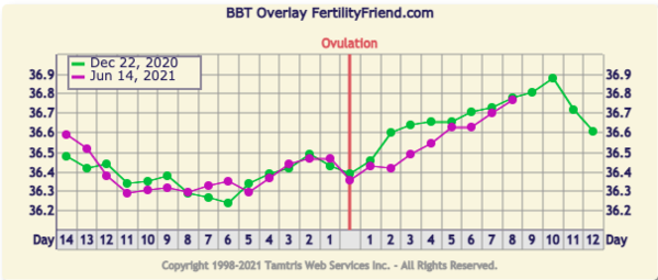 9DPO Symptom Spotting