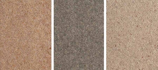 Grey or brown carpets in rental