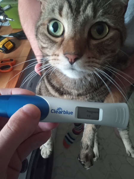 Toot toot, it's the July 2021 TTC Bus arriving early