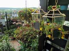 ..to want to turn terrace back alley into a community garden?