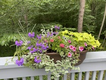 Come and tell me your dull and unexciting news 16: Calmly through the day