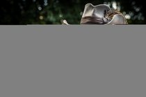 Swagger Inn 169 - Sod this for a game of --soldiers-- Musketeers - let's go somewhere hot and sunny.