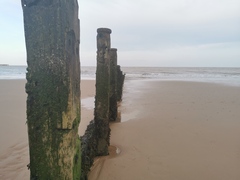 Any Witches Here? Part 14.