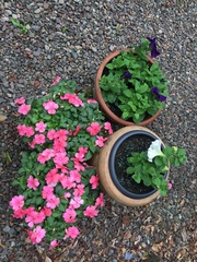 Show Us Your Pictures: 5 Alive