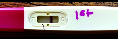 Faint positive after sterilised.