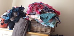 Decluttering one item a day thread number 18 – quickly stashing our clutter in charity shops now we can let people back inside our houses